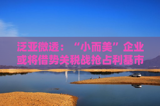 泛亚微透：“小而美”企业或将借势关税战抢占利基市场