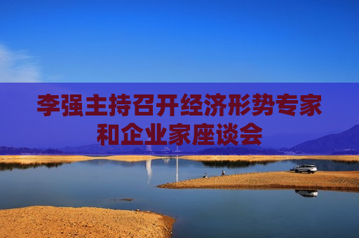 李强主持召开经济形势专家和企业家座谈会  第1张
