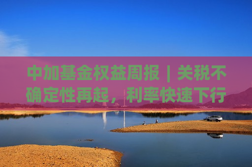 中加基金权益周报︱关税不确定性再起，利率快速下行  第1张