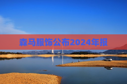 森马服饰公布2024年报  第1张