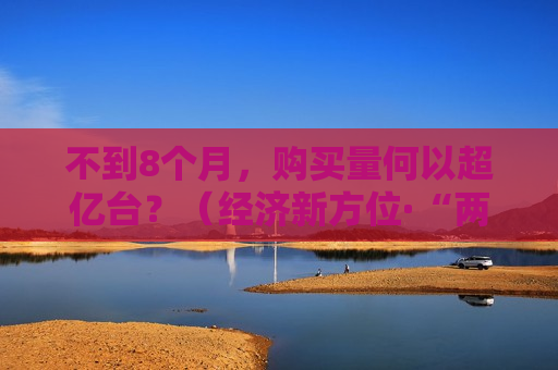 不到8个月，购买量何以超亿台？（经济新方位·“两新”政策发力显效）