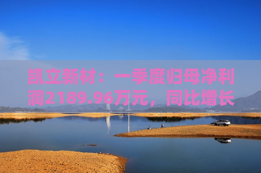 凯立新材：一季度归母净利润2189.96万元，同比增长90.48%