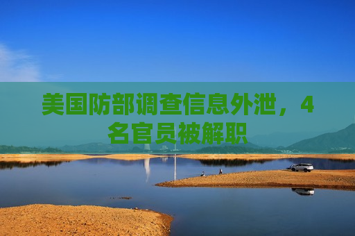 美国防部调查信息外泄，4名官员被解职