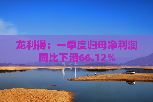 龙利得：一季度归母净利润同比下滑66.12%
