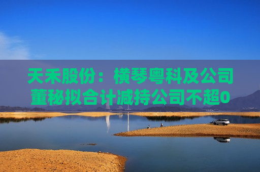 天禾股份：横琴粤科及公司董秘拟合计减持公司不超0.37%股份  第1张