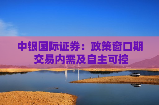 中银国际证券：政策窗口期 交易内需及自主可控