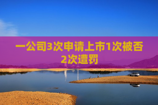 一公司3次申请上市1次被否2次遭罚