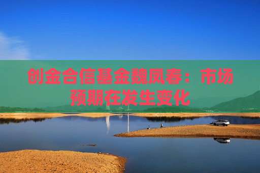 创金合信基金魏凤春：市场预期在发生变化