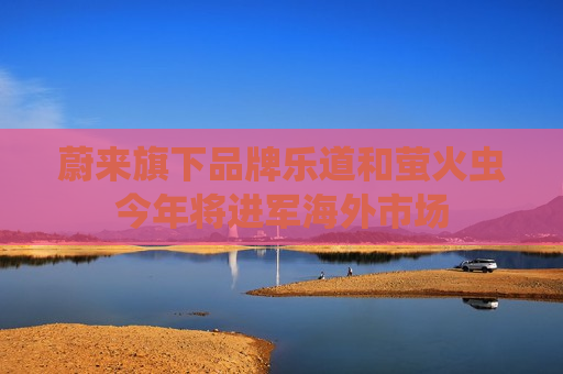 蔚来旗下品牌乐道和萤火虫今年将进军海外市场