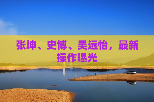 张坤、史博、吴远怡，最新操作曝光