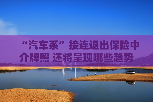 “汽车系”接连退出保险中介牌照 还将呈现哪些趋势？