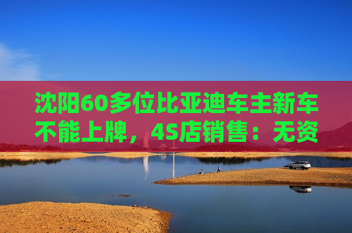 沈阳60多位比亚迪车主新车不能上牌，4S店销售：无资金赎回车辆合格证