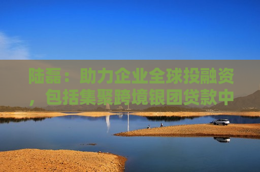 陆磊：助力企业全球投融资，包括集聚跨境银团贷款中心和业务试点