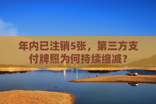 年内已注销5张，第三方支付牌照为何持续缩减？