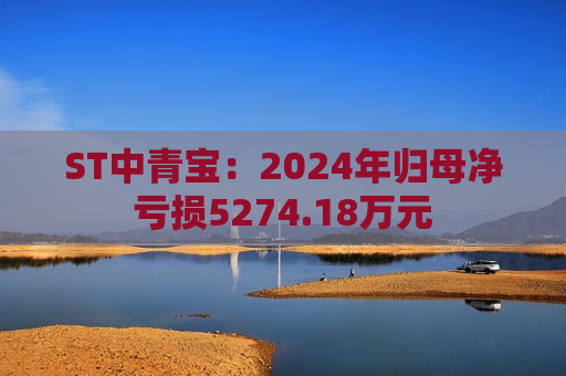 ST中青宝：2024年归母净亏损5274.18万元