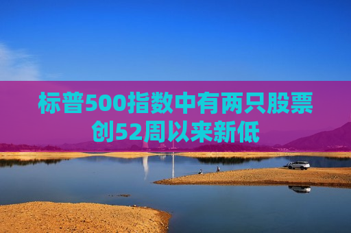 标普500指数中有两只股票创52周以来新低