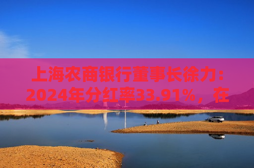 上海农商银行董事长徐力：2024年分红率33.91%，在行业内之一家落地实施了中期分红