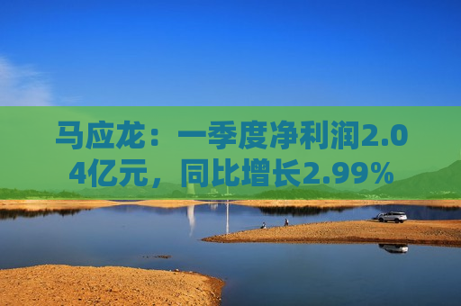 马应龙：一季度净利润2.04亿元，同比增长2.99%