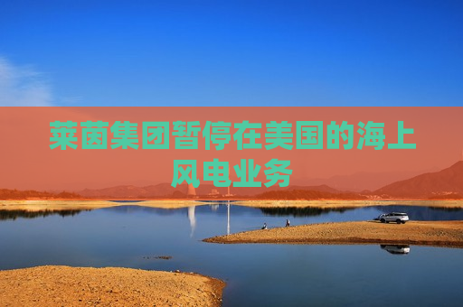 莱茵集团暂停在美国的海上风电业务