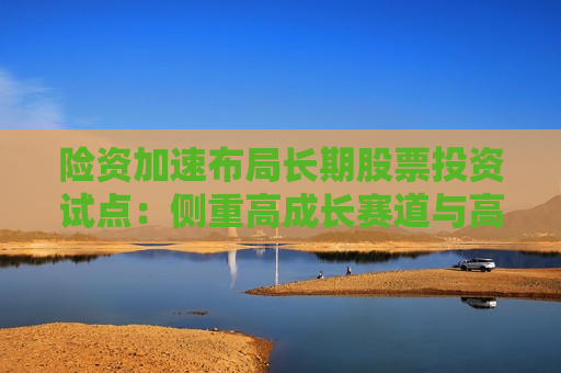 险资加速布局长期股票投资试点：侧重高成长赛道与高分红企业