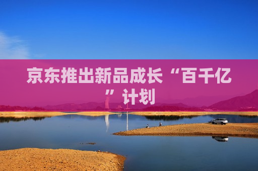 京东推出新品成长“百千亿”计划