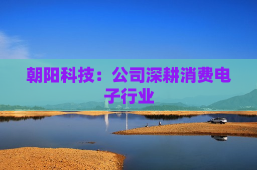 朝阳科技：公司深耕消费电子行业  第1张