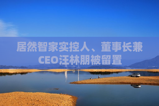 居然智家实控人、董事长兼CEO汪林朋被留置