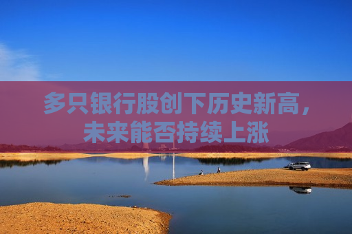 多只银行股创下历史新高，未来能否持续上涨  第1张