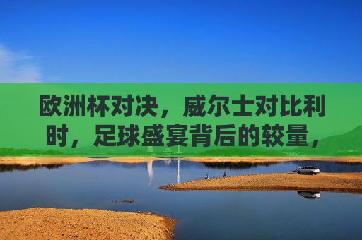 欧洲杯对决，威尔士对比利时，足球盛宴背后的较量，欧洲杯威尔士对比利时，足球盛宴背后的激战，欧洲杯威尔士对比利时，足球盛宴背后的激战