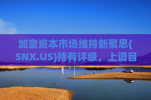 加皇资本市场维持新聚思(SNX.US)持有评级，上调目标价至135美元  第1张