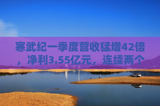 寒武纪一季度营收猛增42倍，净利3.55亿元，连续两个季度盈利  第1张