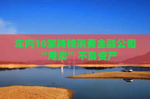 年内10家持牌消费金融公司“甩卖”不良资产
