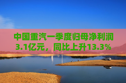 中国重汽一季度归母净利润3.1亿元，同比上升13.3%  第1张