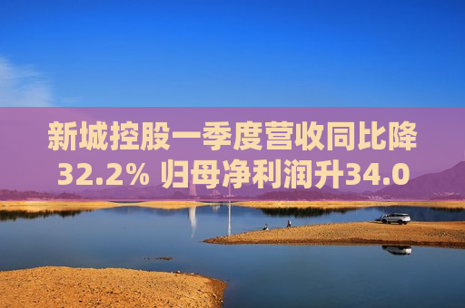 新城控股一季度营收同比降32.2% 归母净利润升34.0%