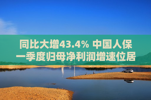 同比大增43.4% 中国人保一季度归母净利润增速位居五大上市险企之首  第1张