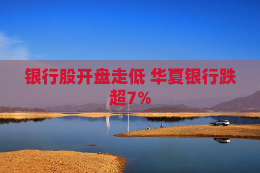 银行股开盘走低 华夏银行跌超7%