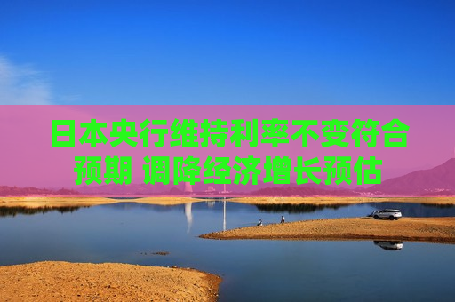 日本央行维持利率不变符合预期 调降经济增长预估