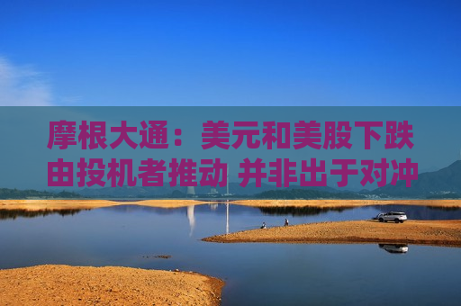 摩根大通：美元和美股下跌由投机者推动 并非出于对冲目的