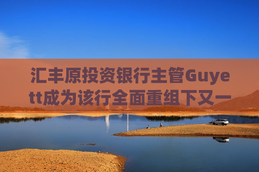 汇丰原投资银行主管Guyett成为该行全面重组下又一位离职的高管