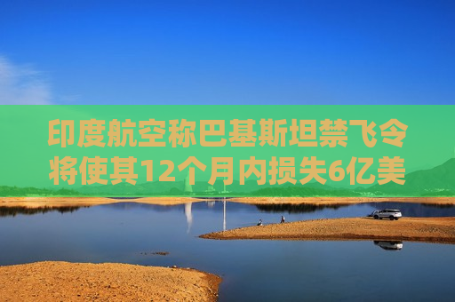 印度航空称巴基斯坦禁飞令将使其12个月内损失6亿美元