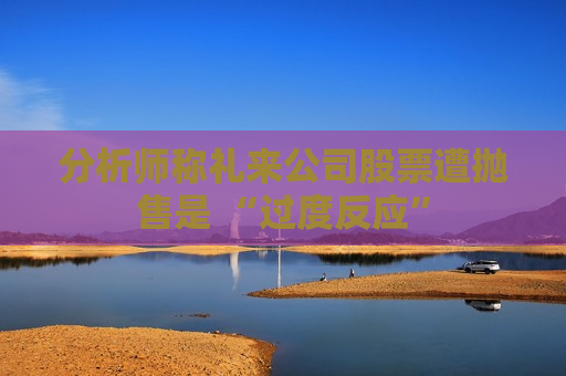 分析师称礼来公司股票遭抛售是 “过度反应”