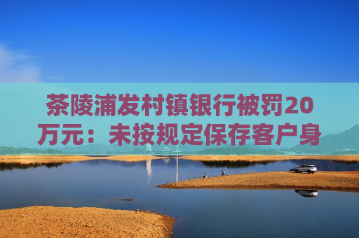 茶陵浦发村镇银行被罚20万元：未按规定保存客户身份资料和客户交易记录