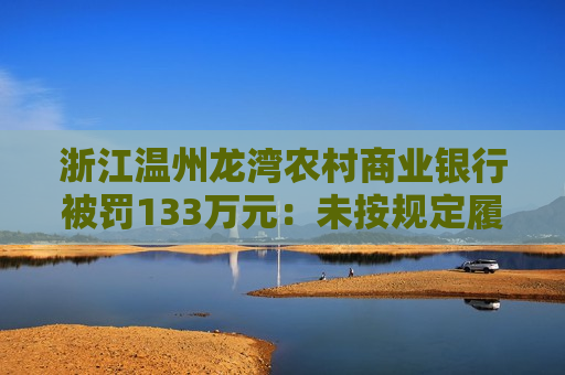 浙江温州龙湾农村商业银行被罚133万元：未按规定履行客户身份识别义务等