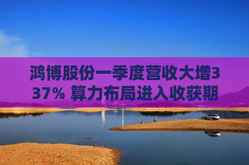 鸿博股份一季度营收大增337% 算力布局进入收获期