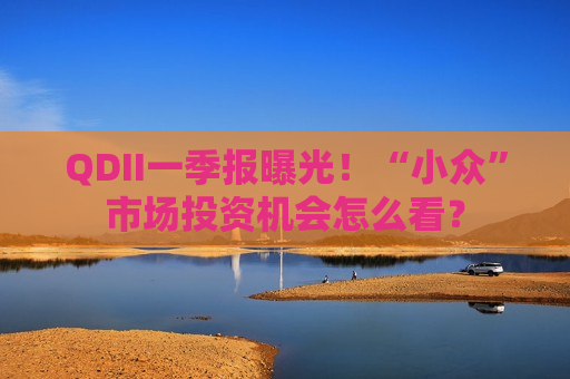 QDII一季报曝光！“小众”市场投资机会怎么看？