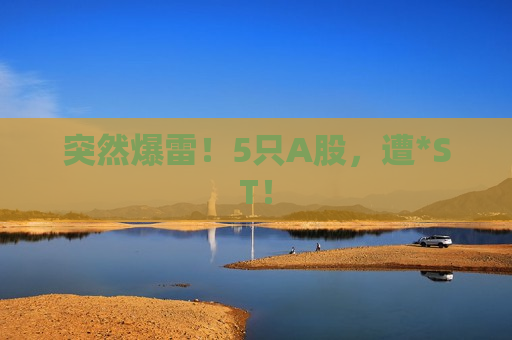 突然爆雷！5只A股，遭*ST！