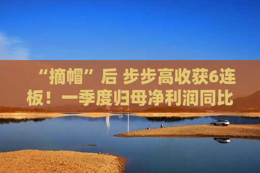 “摘帽”后 步步高收获6连板！一季度归母净利润同比增长近5倍