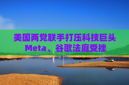美国两党联手打压科技巨头 Meta、谷歌法庭受挫