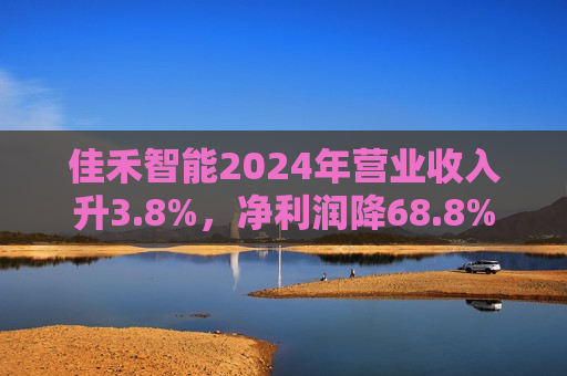 佳禾智能2024年营业收入升3.8%，净利润降68.8%