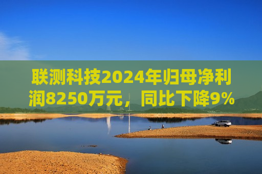 联测科技2024年归母净利润8250万元，同比下降9%